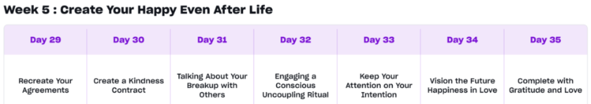 Week 5 Create Your Happy Even After Life